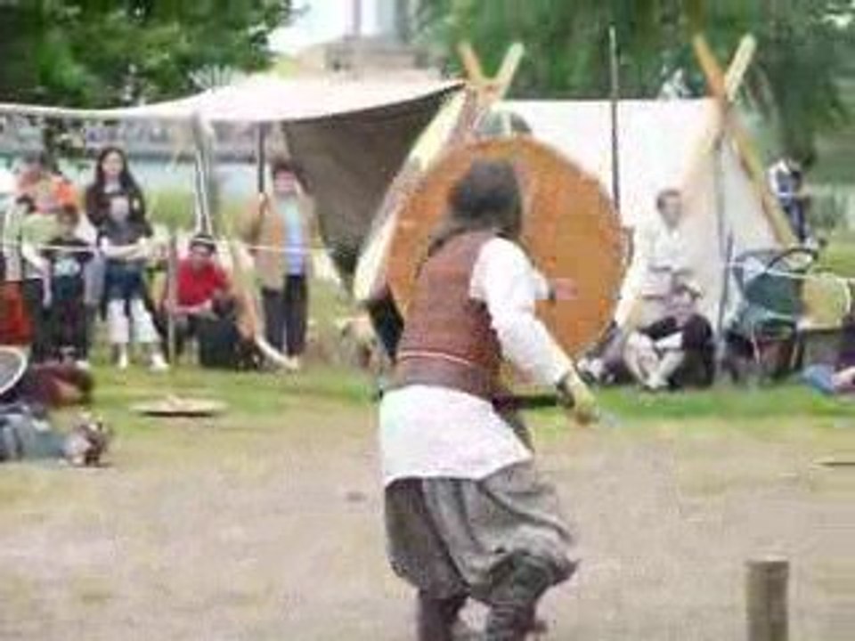 combat viking