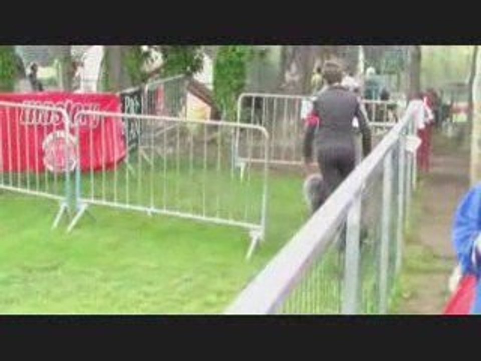 Buck sélectif GPF agility st Saturnin