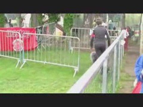 Buck sélectif GPF agility st Saturnin