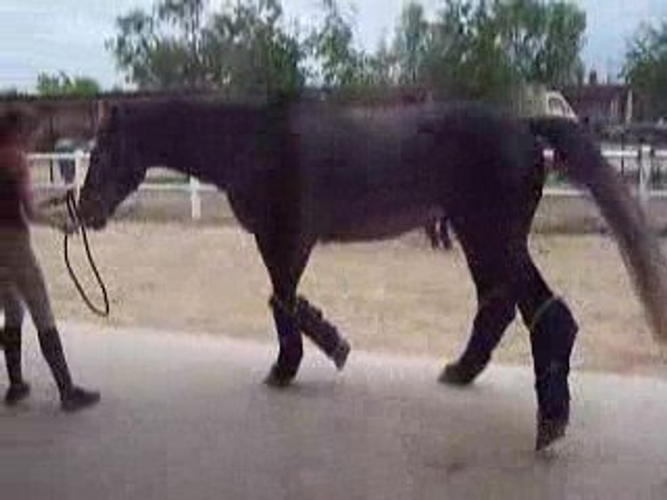 Dimanche 10 mai 09 017