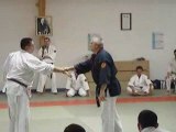 Nihon Tai Jitsu - Gusti - Ay Moselle 2009