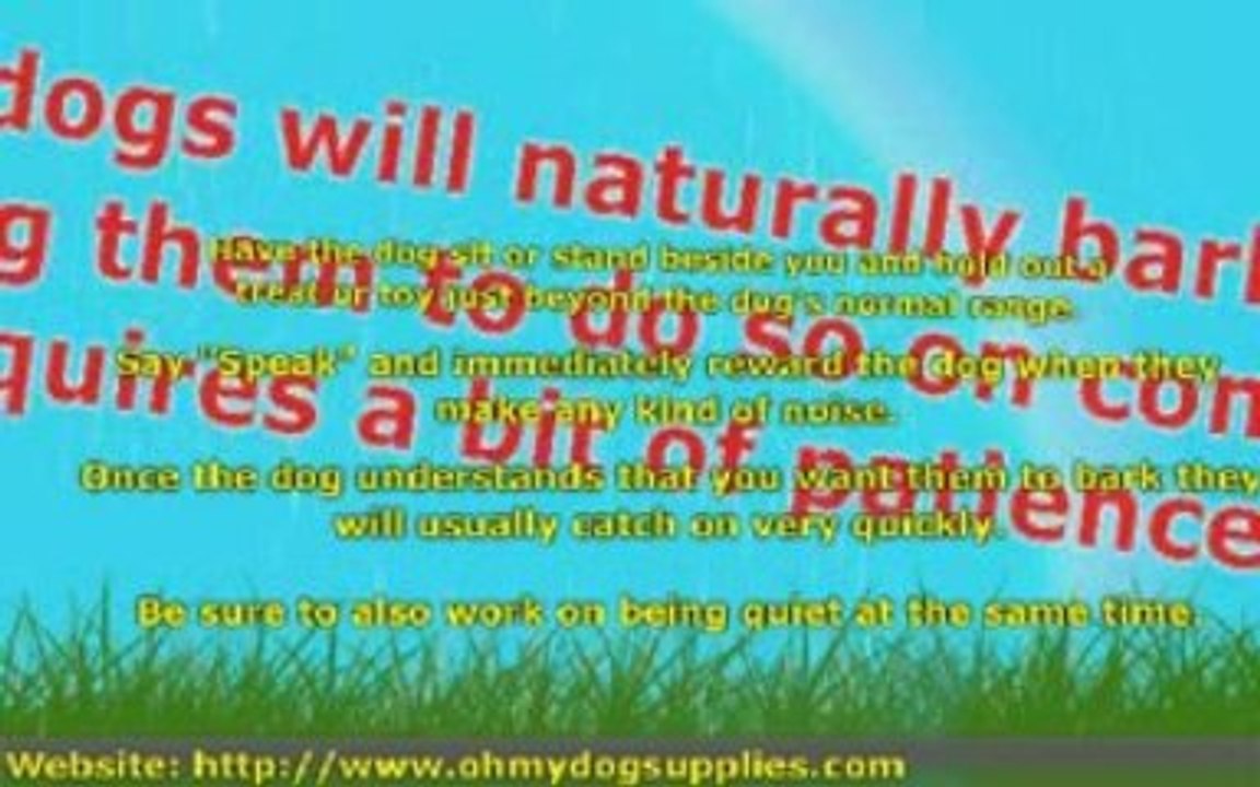 Teaching Your Dog Nifty Tricks!