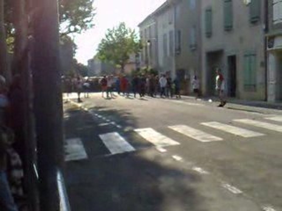 toros de azille au mois de mai 2009