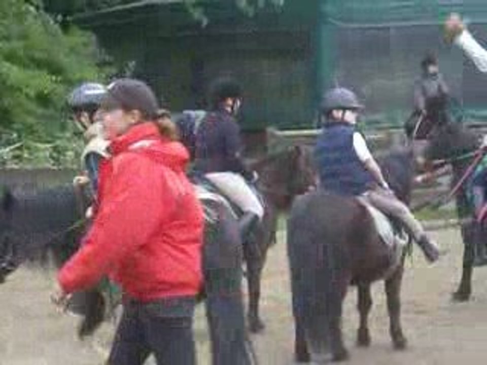Séance d'équitation le 5 mai avec surprise