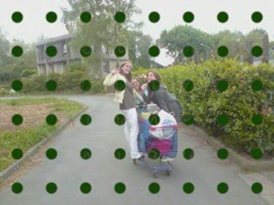 Zinzin_0001