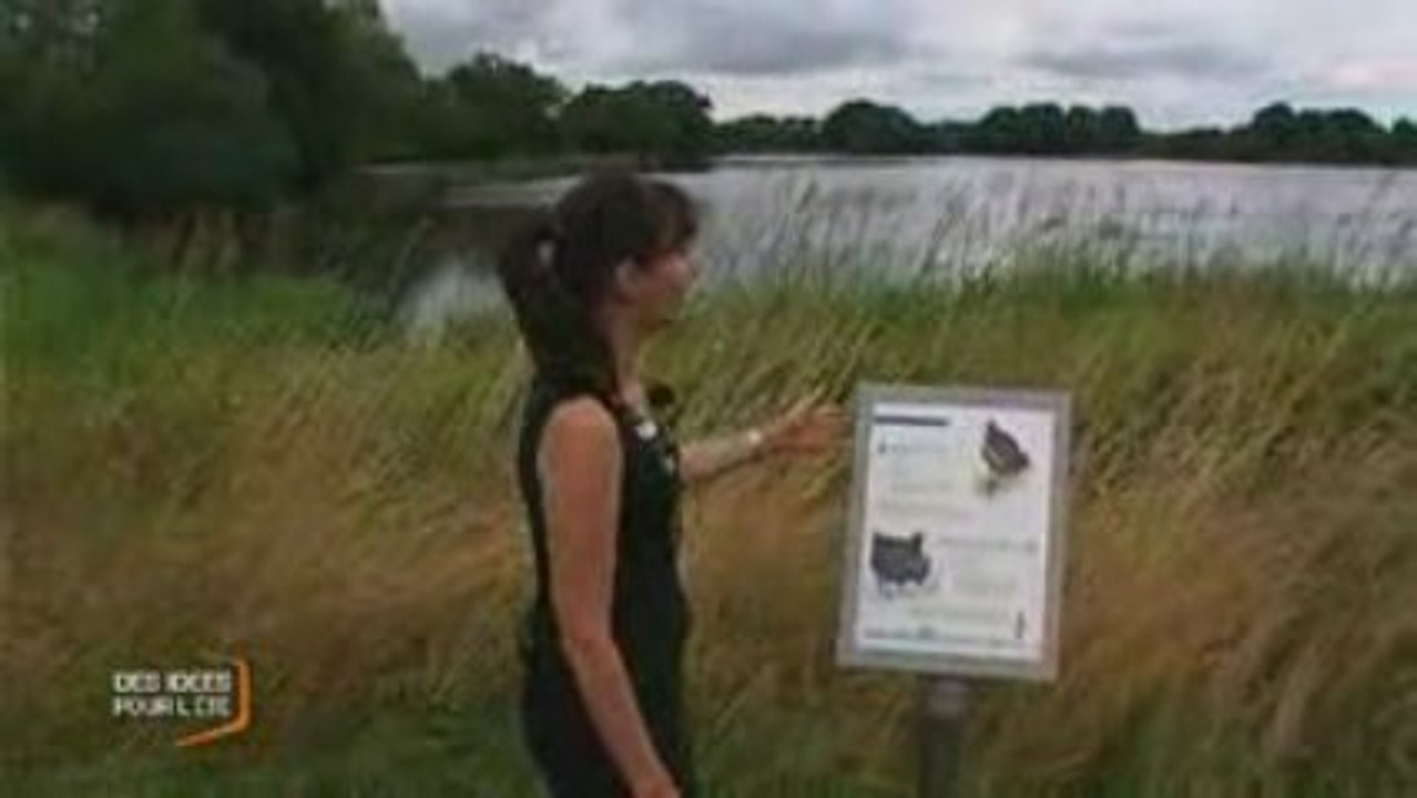 la Cité des oiseaux des Landes-Genusson