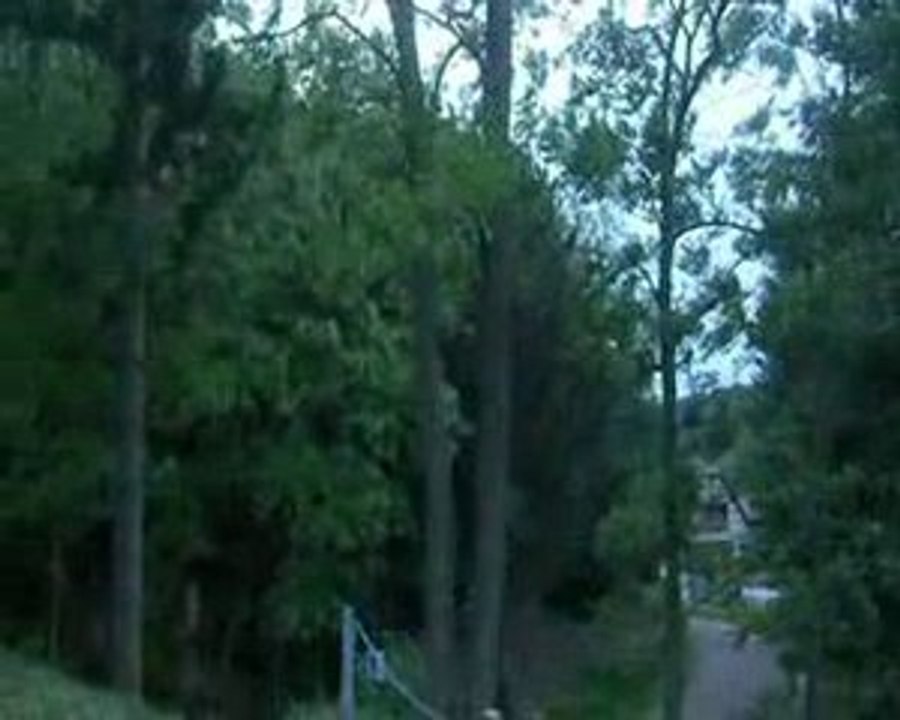 Videodu1105209(1)