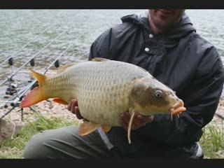 Saône mai 2009 diaporama