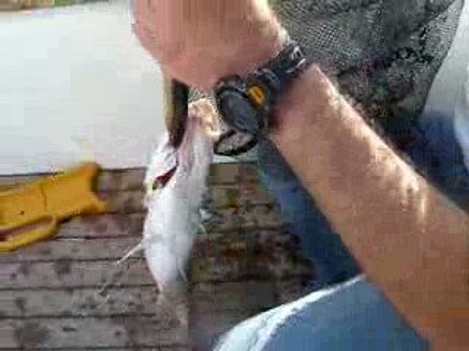 Sinarit avı DSCN2975