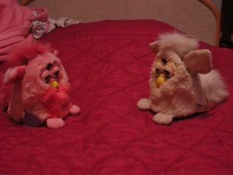 furbys