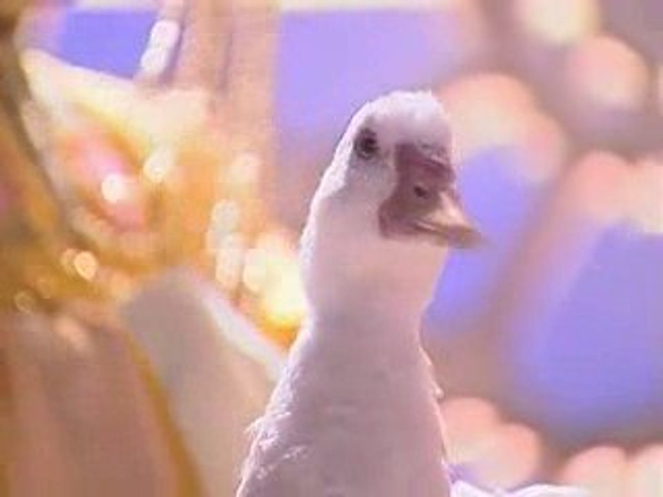 BLD17.avi.avi-0002.avi