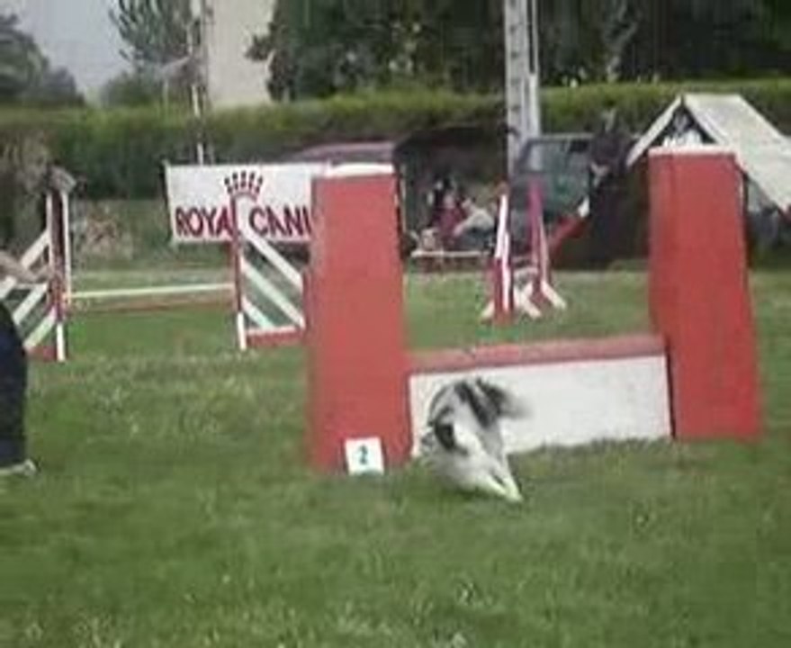 Marine jump cug