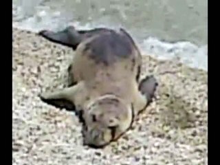 Λίγο πριν το τέλος...