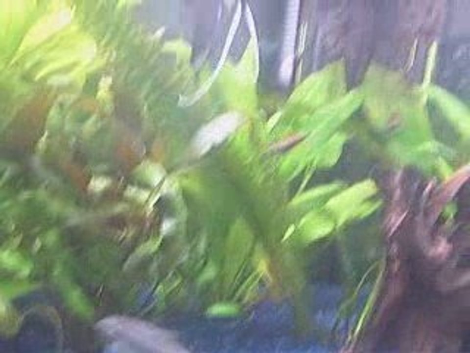 Aqua 300litre