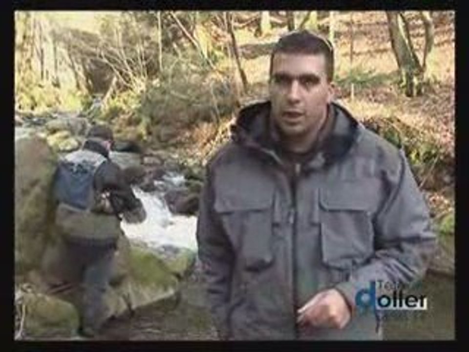 La Pêche en ruisseau dans la Vallée de la Doller