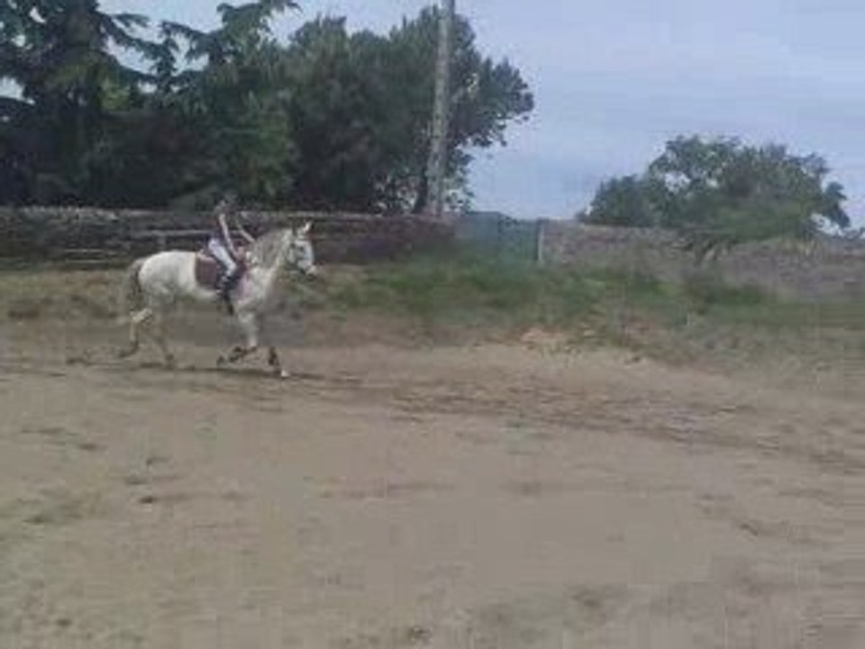 Barre au sol caline et julie6