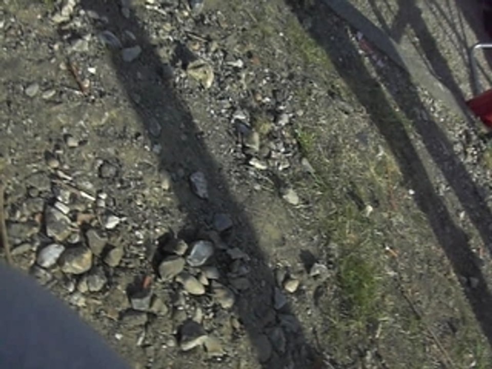 Rallye de Dieppe 2009