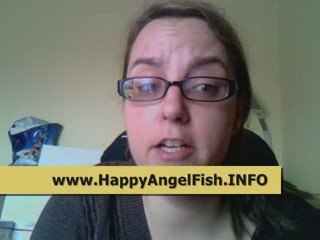 How to Have Happy Angel Fish