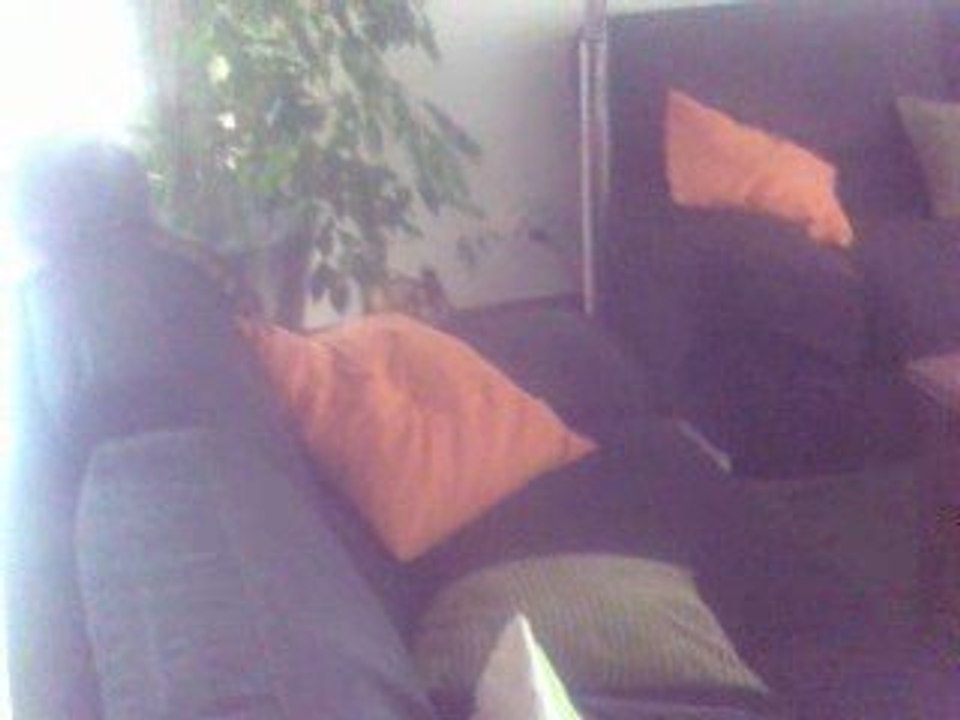 Chevre et chat2