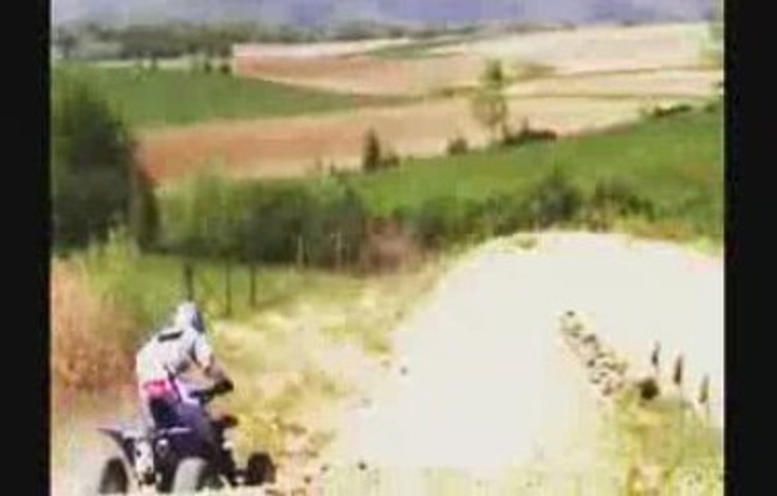 QUADIATEN - Riedseltz Mai 2008