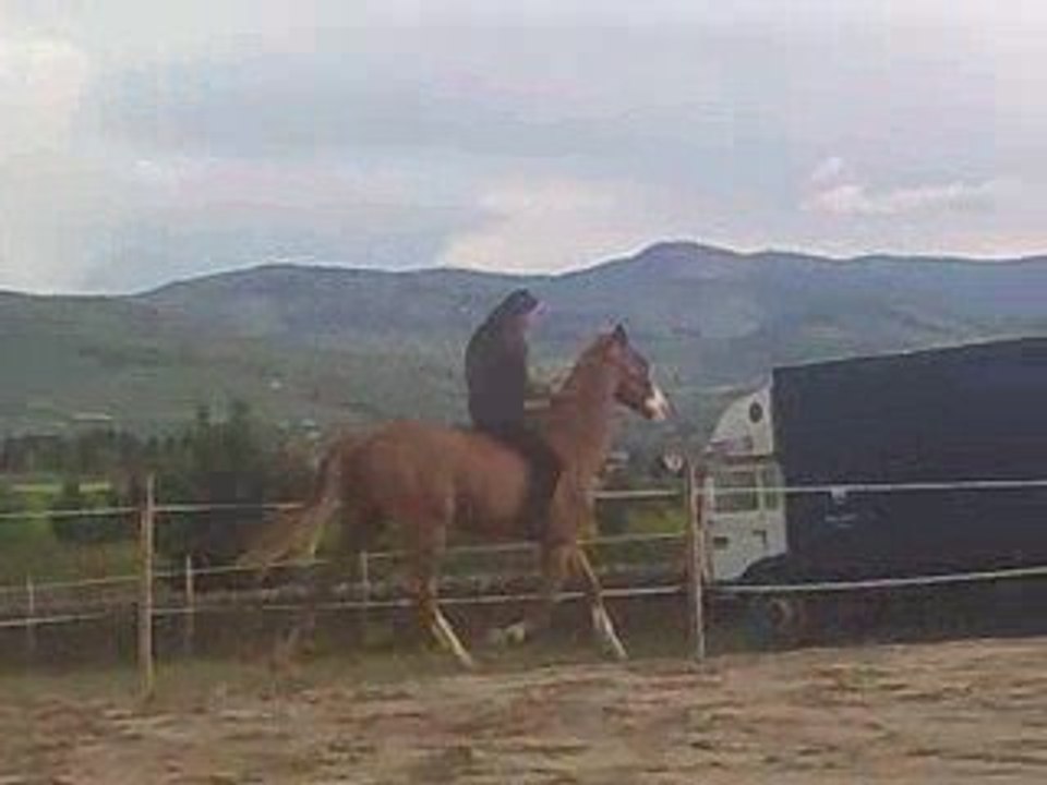 Nanou galop a cru