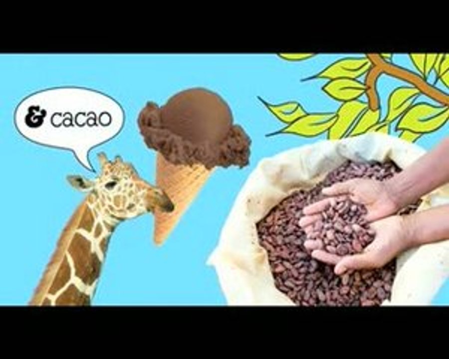 Ben & Jerry's Chocolate Macadamia (2009)