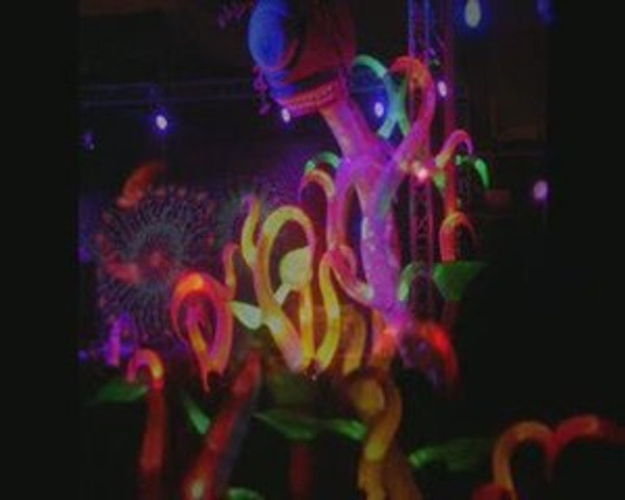 Photo et video teuf Electrohm et BOOM festival - Part_2