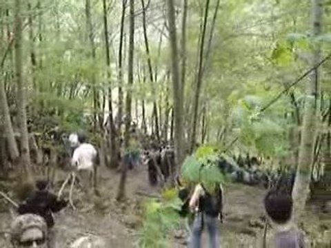 Championnats du monde de descente VTT La Bresse