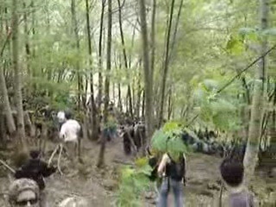 Championnats du monde de descente VTT La Bresse