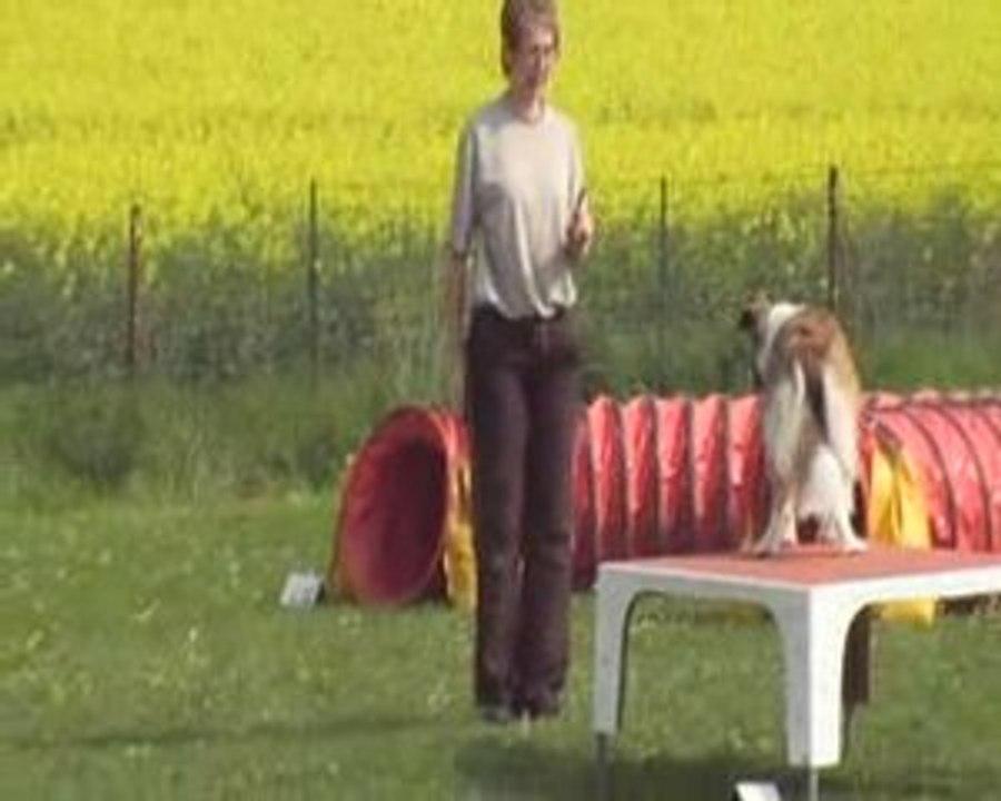 Agility 02-05