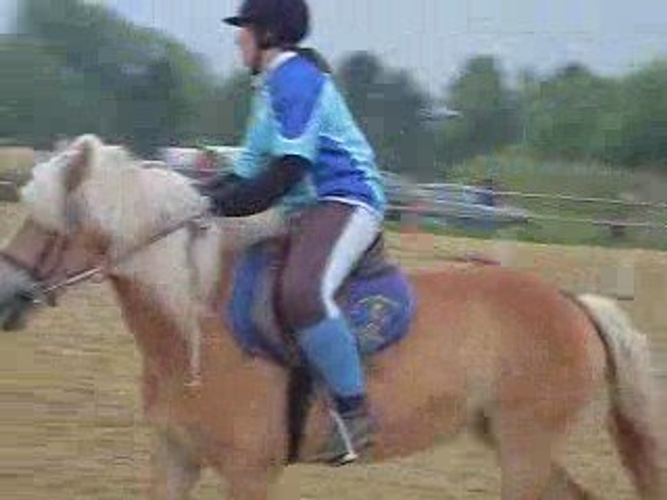 2 tasses le 8  mai 2009  pony games