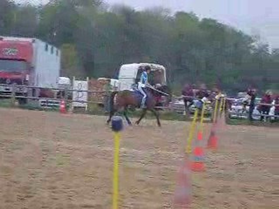 2 drapaux le 8 mai 2009 pony games