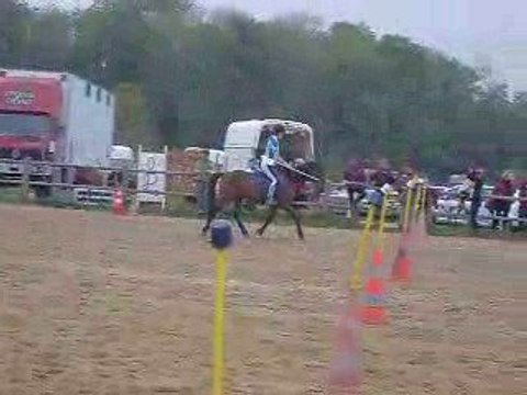 2 drapaux le 8 mai 2009 pony games