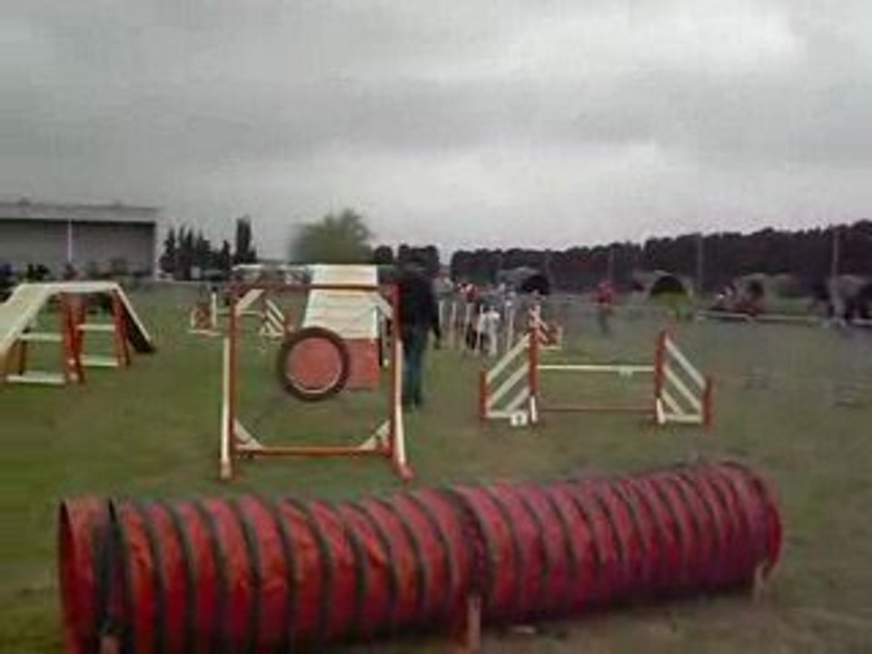 Agility    Julie avec B'Sweety