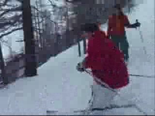 200902 stage hivernal LPRO Poitiers