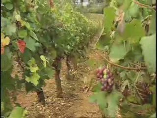 Chester County: Brandywine Valley & Beyond