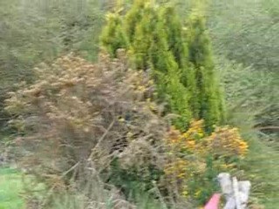 Enora Quemener et Rohina Maneti. CCE Kerau