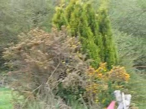 Enora Quemener et Rohina Maneti. CCE Kerau