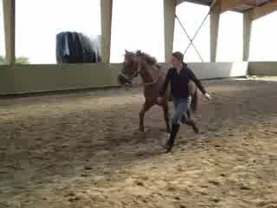 Etoile , la meilleure <3