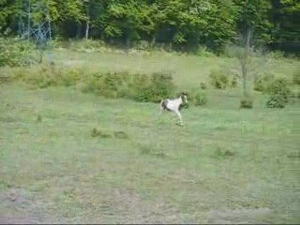 Urkaane, le Mercredi 6 mai 2oo9