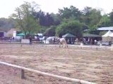 Concours dressage Finale du Championnat départemental