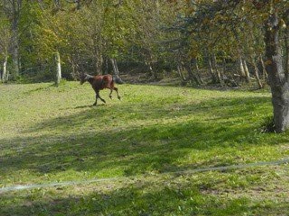 WE En Normandie 24 Au 26 Avril 2009