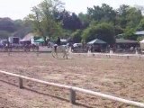 Finale dressage du Championnat départemental du 95