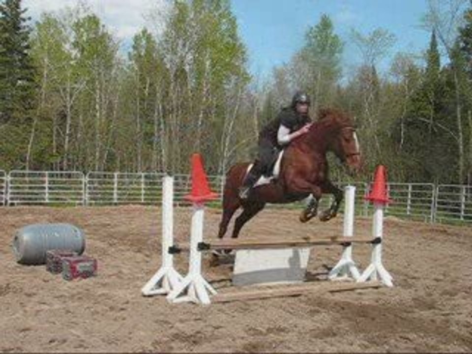Séance Saut  : SAAachaaaaa