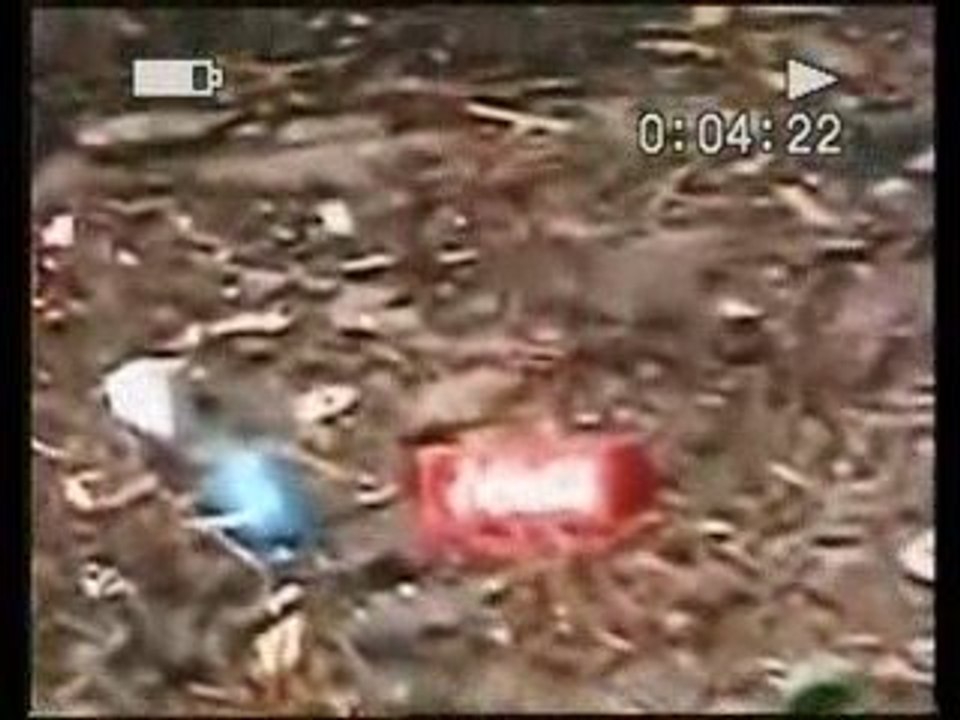 TSUNAMI, ORIGINAL ENDING part 2