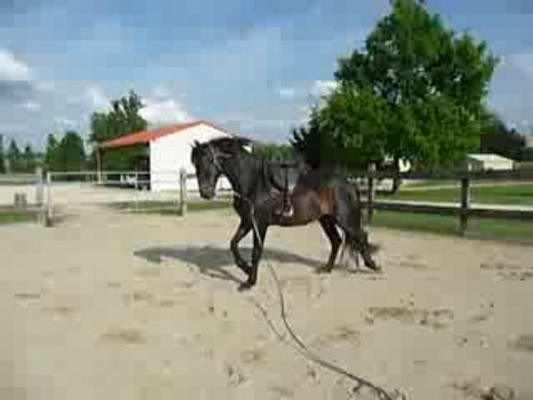 Quiator longe mai 2009