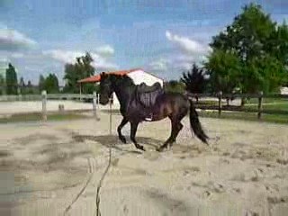 Quiator longe mai 2009 (2)