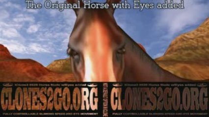 Horse Eyes - Yes they are possible