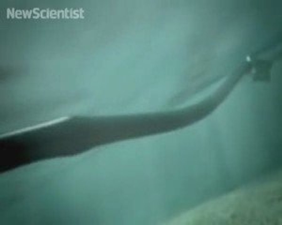 L'anaconda che crea energia
