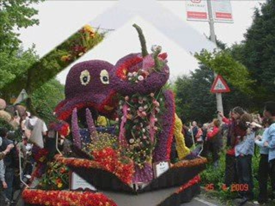 LE CORSO FLEURI  HOLLANDE AVRIL 2009